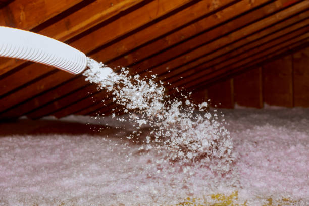 Best Commercial Insulation Contractor  in Tecumseh, NE