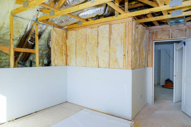 Best Spray Foam Insulation  in Tecumseh, NE