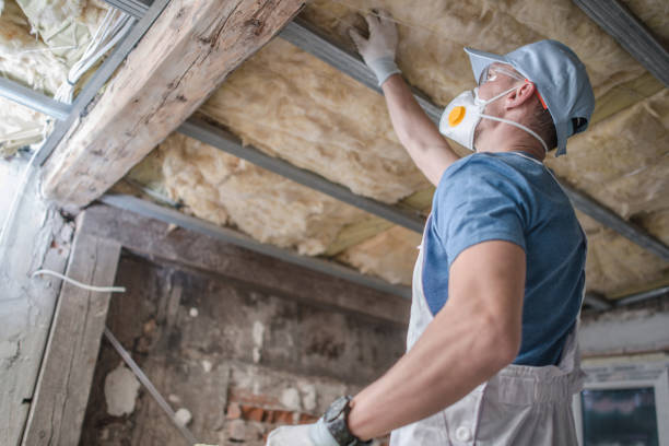 Best Insulation Removal  in Tecumseh, NE
