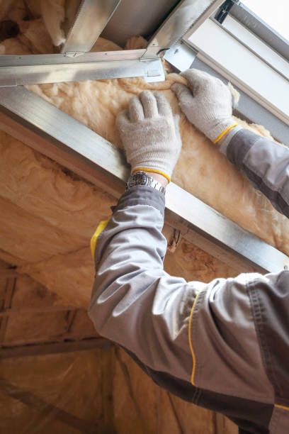 Best Attic Insulation Installation  in Tecumseh, NE