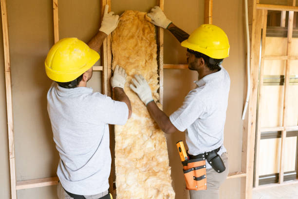 Best Insulation Contractor Near Me  in Tecumseh, NE