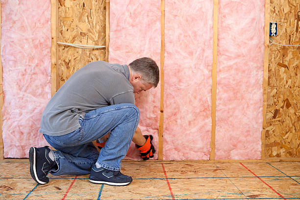 Best Local Insulation Services  in Tecumseh, NE