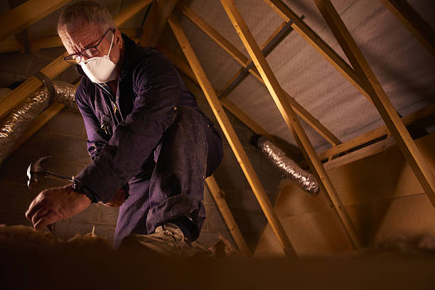 Best Local Insulation Services  in Tecumseh, NE